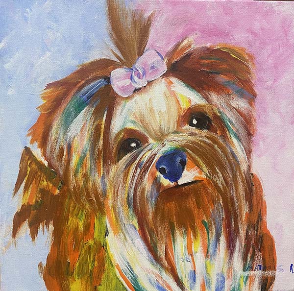 Pet - 30 x 30 - Ast